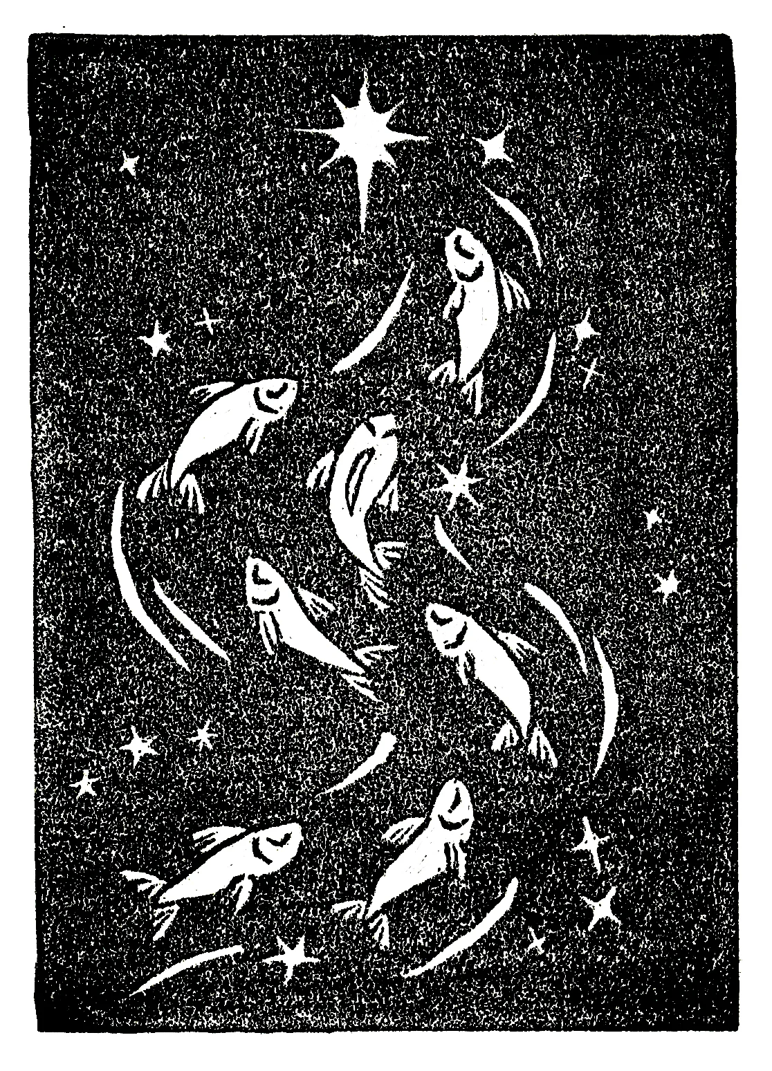 Celebrating the 7 Fishes